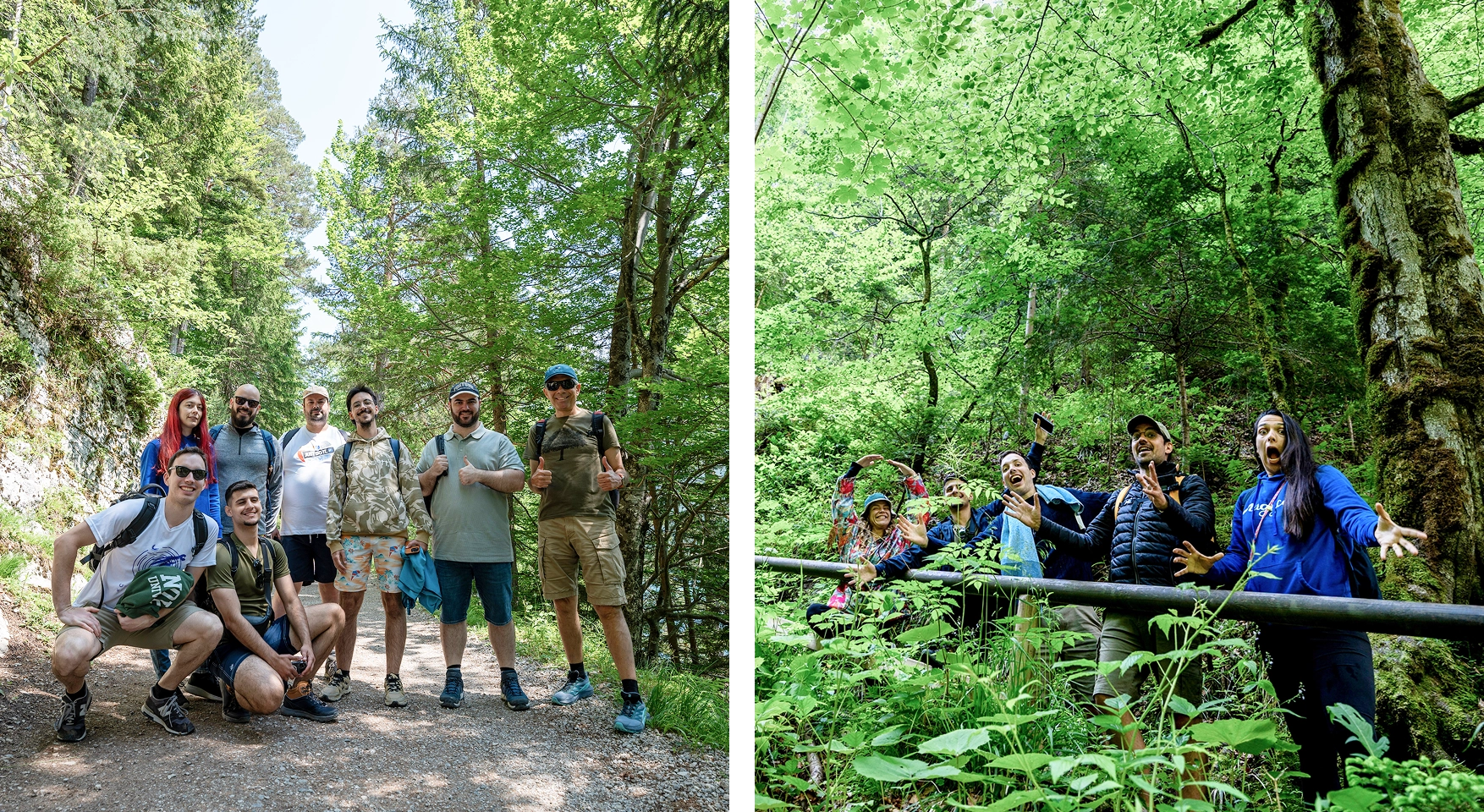 Magycal Team photos in the forest